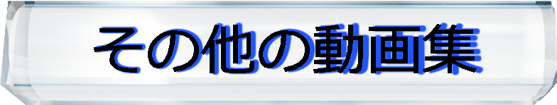 ���̑��̓���W 